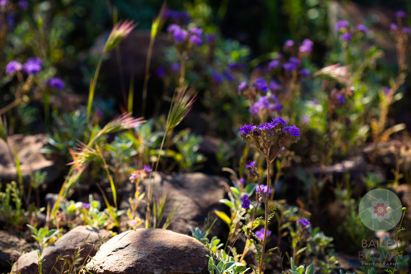 Spring photography of children enjoying a nature habitat.